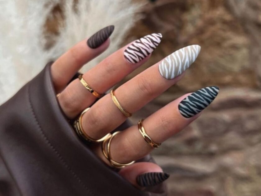 Neutral Elegance and Wild Zebra Patterns