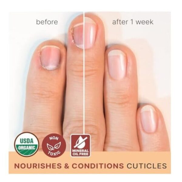 Organic Nail and Cuticle Oil